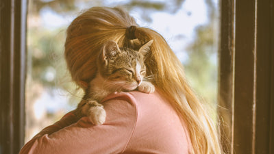 The Unspoken Love: How do you tell if your cat loves you?