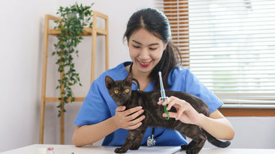 cat vaccines in thailand