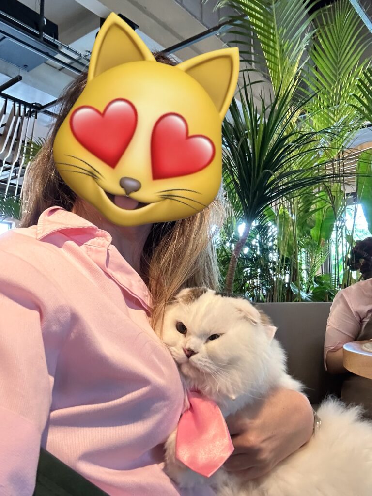 cat love you hug