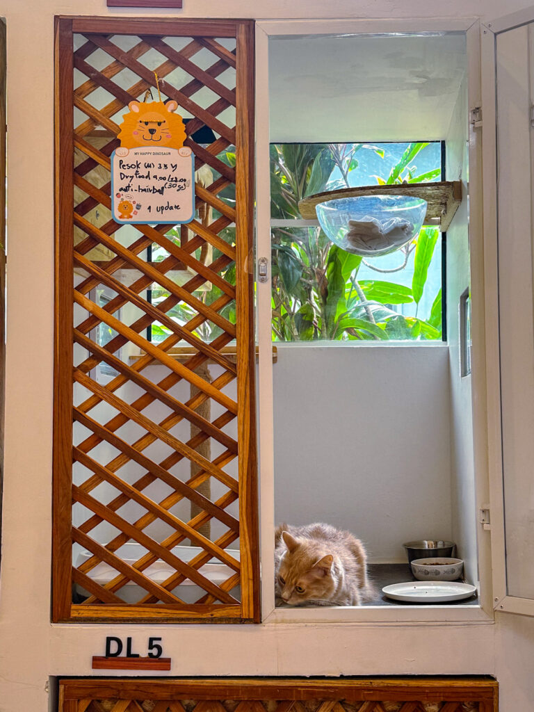 pesok deluxe room cat hotel phuket
