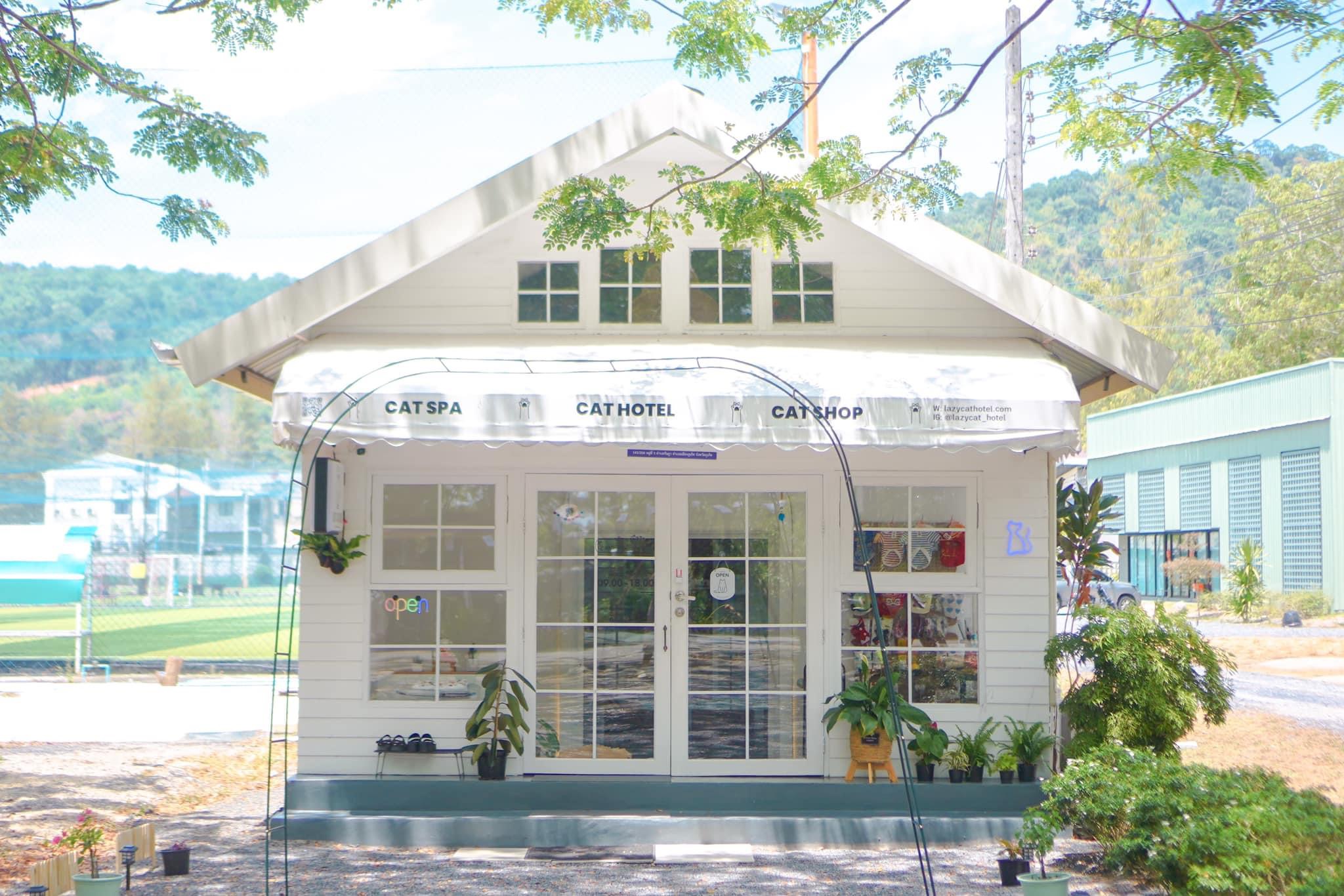 lazy cat hotel phuket outside
