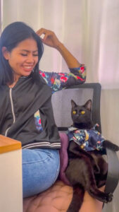 cat sitter Phuket
